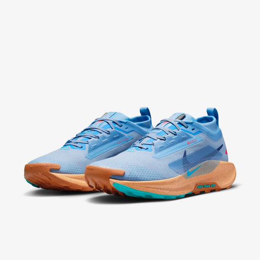 Nike Pegasus TrailGORE-TEX FQ0908-400 Men Blue Trail Running Shoes HAM792